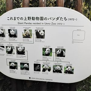 Giant Pandas resided on Ueno Zoo October 18, 2025