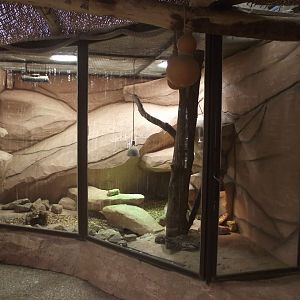 Enclosure for African tortoises - Zooparc de Beauval, 09/08/2025