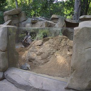 Prairie Dog enclosure - Zooparc de Beauval, 09/08/2025