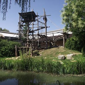 Main Gorilla island - Zooparc de Beauval, 09/08/2025