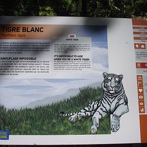 White Tiger signage - Zooparc de Beauval, 09/08/2025