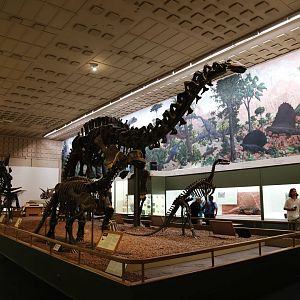 Great Hall before Renovation