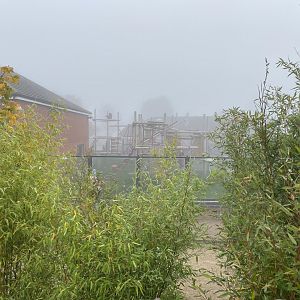 View of gorilla enclosure from outdoor chimp enclosure