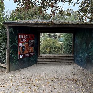 Open Topped Red Ruffed Lemur Enclosure