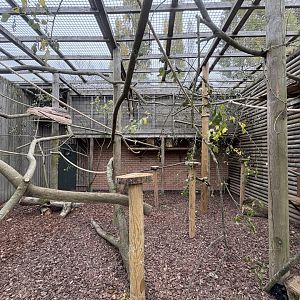 Closed Topped Red Ruffed Lemur Enclosure