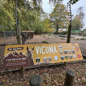 New Vicuña Signage