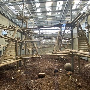 Indoor chimpanzee enclosure