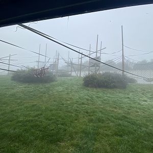 Indoor view of outdoor chimp enclosure