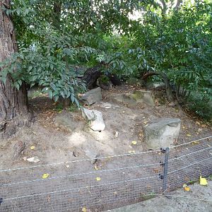 European souslik exhibit