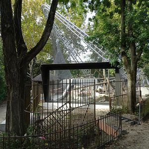 Orangutans future exhibit