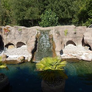 Humboldt penguin enclosure 110925