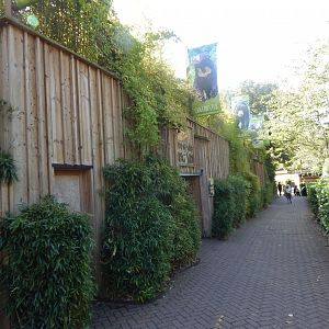 Bears of the Rising Sun - Malayan sun bear enclosure 110925