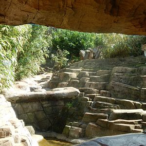 Ussuri Falls - Amur leopard enclosure 110925