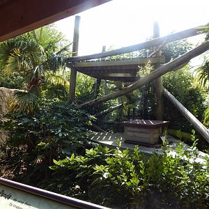 Nepalese red panda enclosure 110925