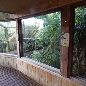 Giant anteater enclosure 110925