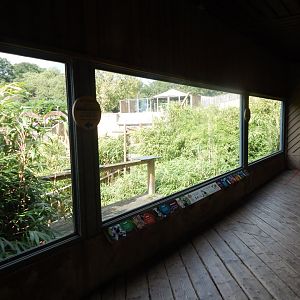 Lemur Walkthrough upper viewing area 110925