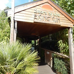 Bears of the Rising Sun - entrance to upper area 110925