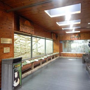 Bears of the Rising Sun - upper indoor area 110925