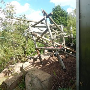 Bears of the Rising Sun - view from upper indoor area 110925