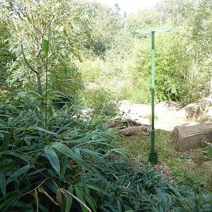 Bears of the Rising Sun - view from upper area 110925