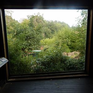 Bears of the Rising Sun - view from upper area 110925