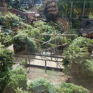 Lemur Walkthrough 110925