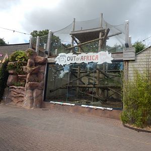 Out of Africa - Barbary macaque enclosure 110925