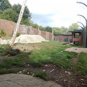 Out of Africa - African lion enclosure 110925