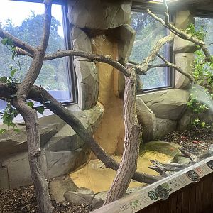 Elephant Kingdom - Royal python exhibit 110925