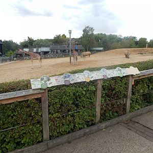 Kingdom of the Wild 110925