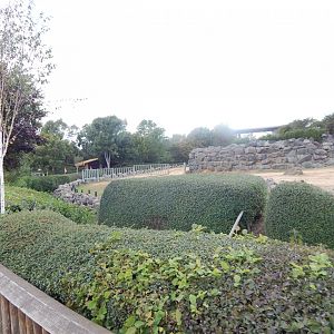 Elephant Kingdom 110925