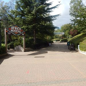 View towards Edge of Africa 110925