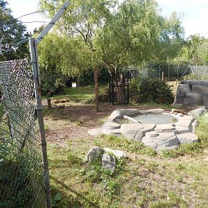 Edge of Africa - Spotted hyena enclosure 110925