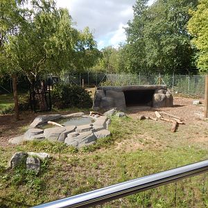 Edge of Africa - Spotted hyena enclosure 110925