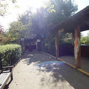 Edge of Africa - Mandrill viewing area 110925