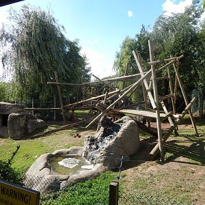 Edge of Africa - Mandrill enclosure 110925