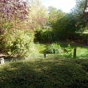 Edge of Africa - Western blue duiker and Blue crane enclosure 110925