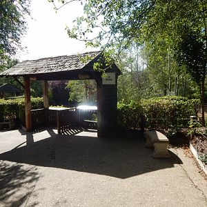 Edge of Africa - Common warthog/Northern warthog enclosure 110925