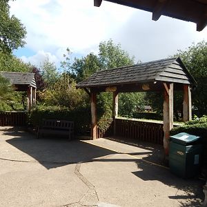 Edge of Africa - South African cheetah viewing area 110925