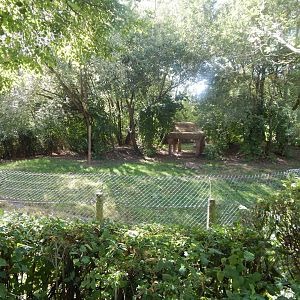 Edge of Africa - South African cheetah enclosure 110925