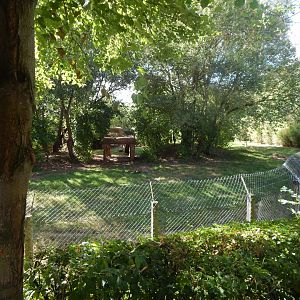 Edge of Africa - South African cheetah enclosure 110925