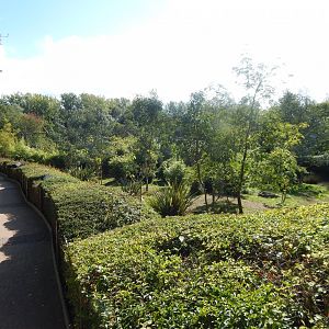 Edge of Africa - Eastern grey crowned crane/Kirk's dik-dik enclosure 110925