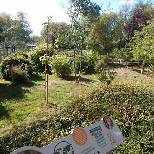 Edge of Africa - Eastern grey crowned crane/Kirk's dik-dik enclosure 110925