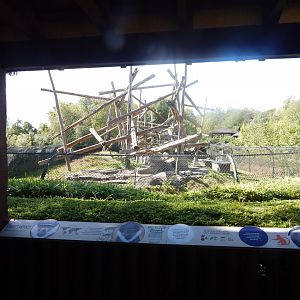 Edge of Africa - L'Hoest's monkey enclosure 110925