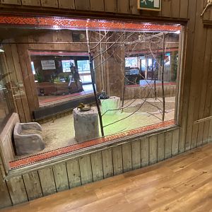 Kingdom of the Wild - Central exhibit 110925