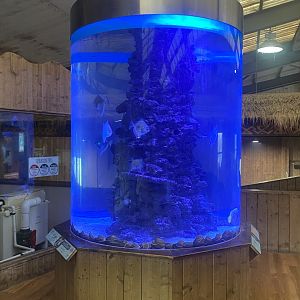 Kingdom of the Wild - Aquarium exhibit 110925