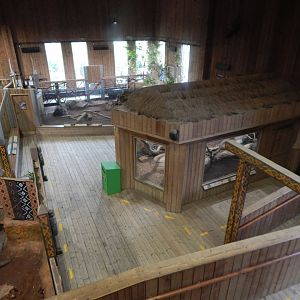 Kingdom of the Wild - Lower floor area 110925