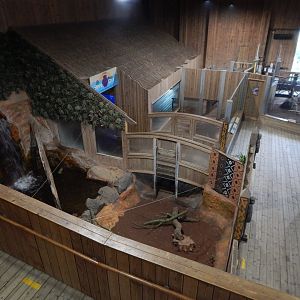 Kingdom of the Wild - Lower floor area 110925