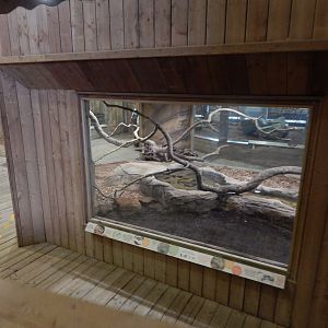 Kingdom of the Wild - Central African rock python exhibit 110925