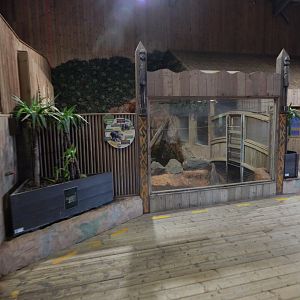 Kingdom of the Wild - Western pygmy hippopotamus enclosure 110925